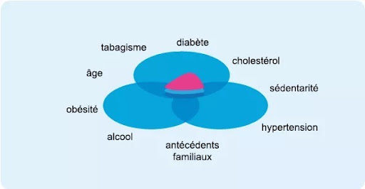 Les facteurs de risque cardiovasculaire